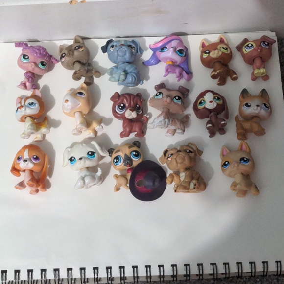 Bundle of littlest pet shops, houses, and accessories - Picture 9 of 17